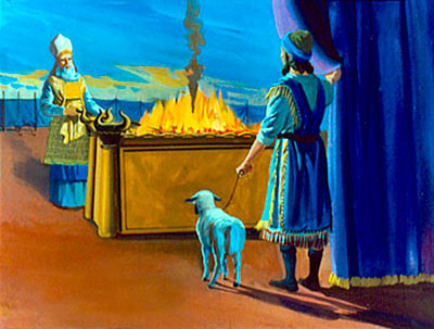 sacrifice lamb altar blood bible sacrifices brazen sin god atonement animal jesus ancient bring tabernacle testament offering old burnt command